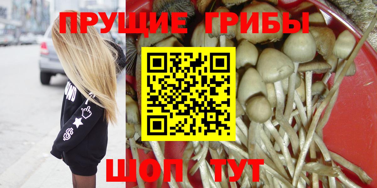 Галлюциногенные грибы GOLDEN TEACHER Кудрово