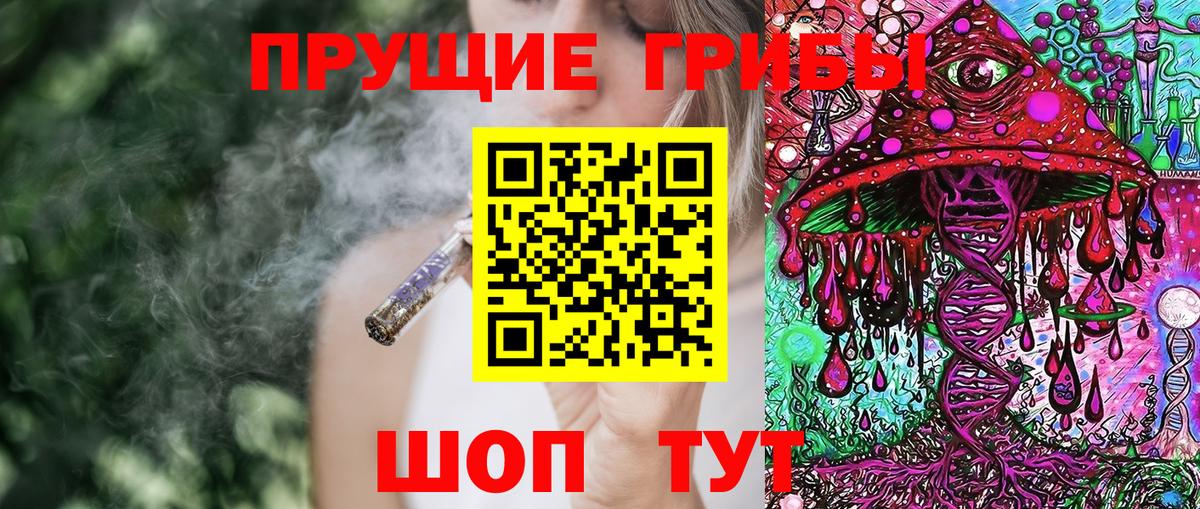 Кудрово  Галлюциногенные грибы Psilocybe  Вход с VPN  Псилоцибиновые грибы мицелий 